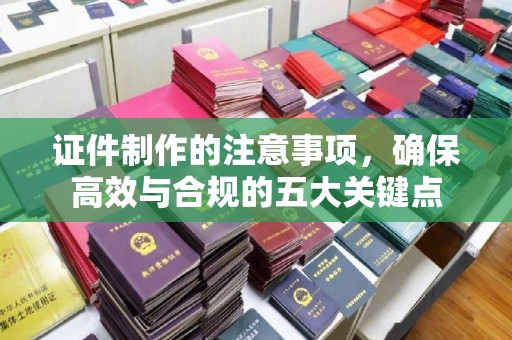 道孚证件制作的注意事项，确保高效与合规的五大关键点